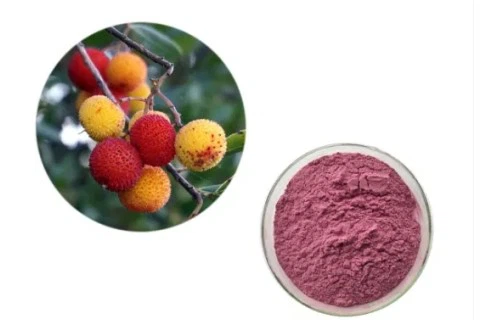 Waxberry Powder Waxberry Powder