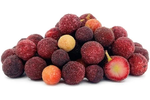 Bulk Waxberry Powder Bulk Waxberry Powder